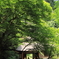 深緑の山荘