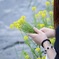 花が綺麗で、