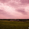 farm 
