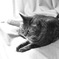 black-and-white 