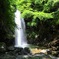 伊賀の白藤の滝