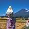 案山子の風景