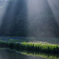 平池