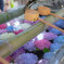 紫陽花の季節