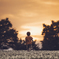 Clover Land