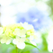 DSCF0241