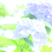 DSCF0292