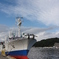 photo_788782