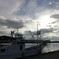DSC00239
