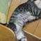 きっとこの中に。。