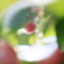 5D3_0050-4096