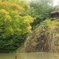 永保寺　白糸の滝