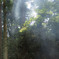 smoke01