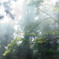 smoke02