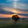 Sun pillar