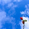 ネムと青空