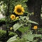 6D7CF0CC-8842-49C5-8CE3-E1C0C4EB8231