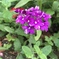 8580B274-6FC9-4949-915B-B54CE170B51A