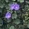 58742B6B-51B3-4804-9B87-48D1CC9A3CE3