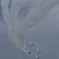 Blue Impulse 10