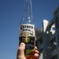 Corona Beer