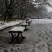 Snow Chair