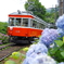 あじさい電車