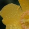DSCF3876