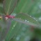 DSCF3886