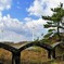 晴天のひととき