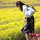 花のような人　～菜の花畑編～