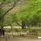 公園