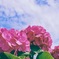 もう一度だけ