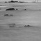 暮れる海