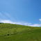 windows XP