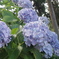 IMGP3976