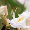 706D2F91-88A8-44EB-855B-EC8A088160CA