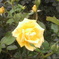 DCIM0030