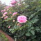 DCIM0032