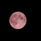 strawberry moon