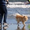 江ノ島の海岸にて