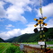 単線、踏み切り、青い空