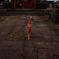 五穀神社の猫２