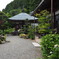 紫陽花のお寺