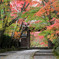 粟生光明寺