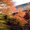 鞍馬寺