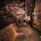 ひとり旅と桜