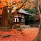 岩屋寺