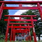 INARI 