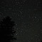 星空と木